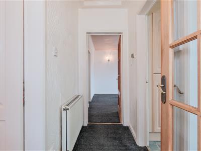 Picture 31